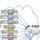 Broadcasting Operation Experiment over Multiple SDN Switching Network Succeeds in “Sapporo Snow Festival”