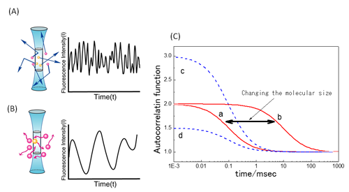 Fig. 1  Measurement principle of fluorescence correlation spectroscopy (FCS).