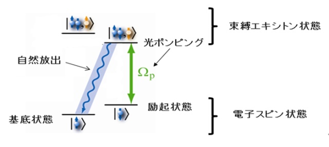 図2(a)：光ポンピングによる電子スピンの初期化