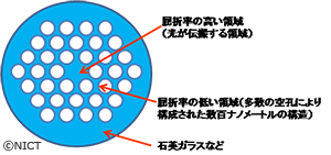 ホーリーファイバの断面模式図