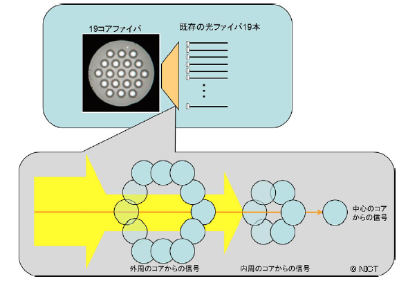 図4 今回用いた結合装置の概要（イメージ図）