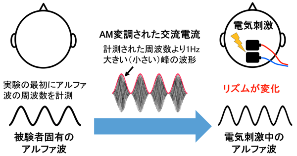 図1：アルファ波変調技術の概略図