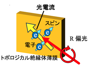 サムネール