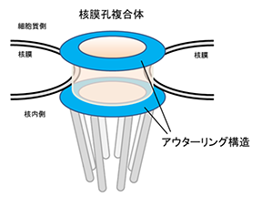 サムネール
