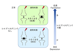 サムネール