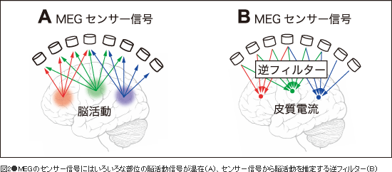 図2●MEGのセンサー信号にはいろいろな部位の脳活動信号が混在（A）、センサー信号から脳活動を推定する逆フィルター（B）