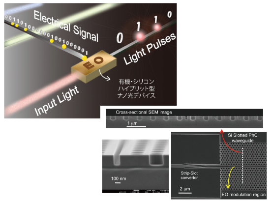 ●EO光集積チップの概念図と有機・シリコン集積型ナノフォトニック素子の電子顕微鏡写真