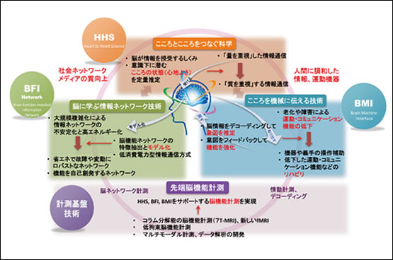 図2　CiNetの4つの融合領域