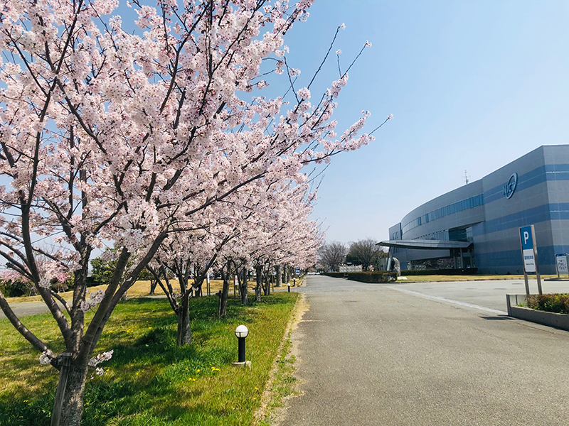 View from the 3rd Research Building