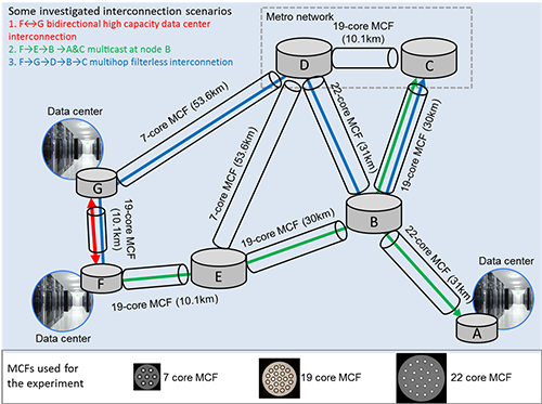 Investigated multicore fiber network architecture Investigated multicore fiber network architecture
