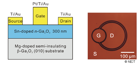 Fig. 3 : (a) Cross-sectional schematic illustration and (b) optical microscope micrograph of Ga2O3 MESFET