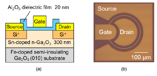 Fig. 3:(a) Cross-sectional schematic illustration and (b) optical micrograph of Ga2O3 MOSFET