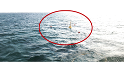 Wi-SUN device installed buoy