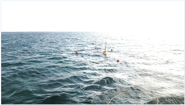 Fig. 4  Buoy installation outline: (b) Overwater vision