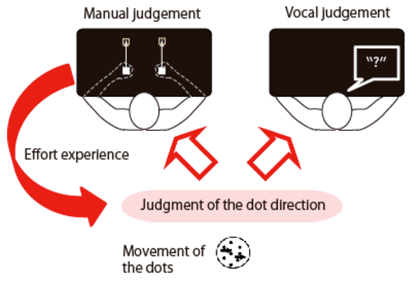 Figure 2:	Schematic diagram of the experiment