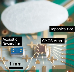 Fig. 1 Microwave oscillator with a piezoelectric film resonator Fig. 1 Microwave oscillator with a piezoelectric film resonator