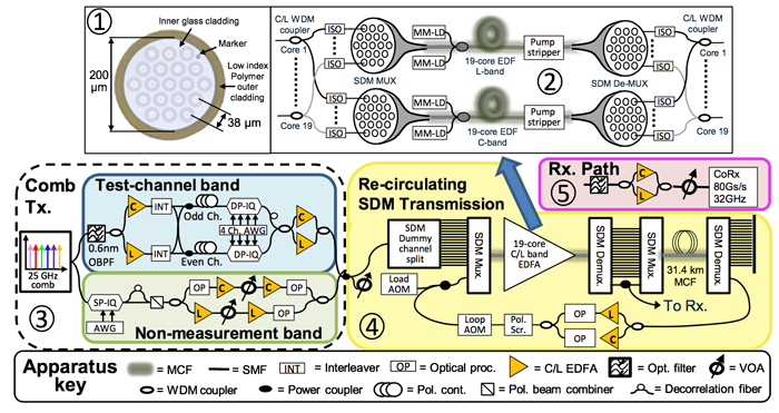 Fig.2: A schematic diagram of the 19-core EDFA and transmission system Fig.2: A schematic diagram of the 19-core EDFA and transmission system