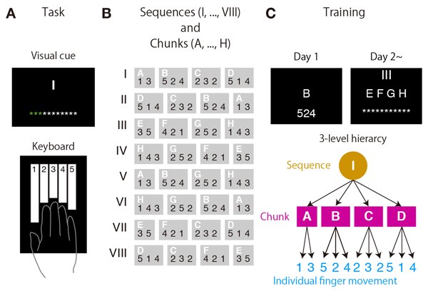 Figure 1. Behavioral task and training