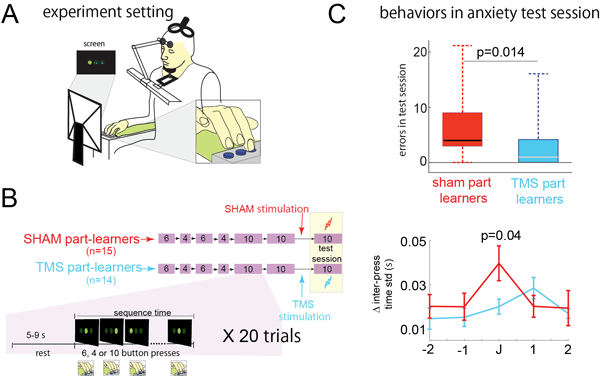 Fig. 7. Design and results of experiment 3 (TMS).