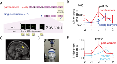 Fig. 1 Reduced performance under anxiety correlated with activity in the dACC.