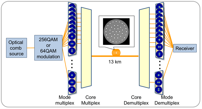 Figure 5 Figure 5