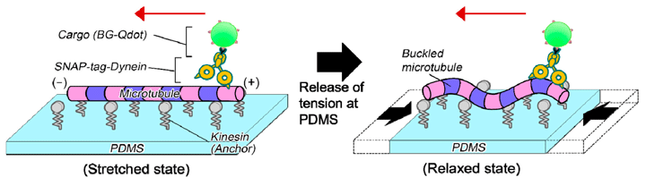 Fig.2 Fig.2