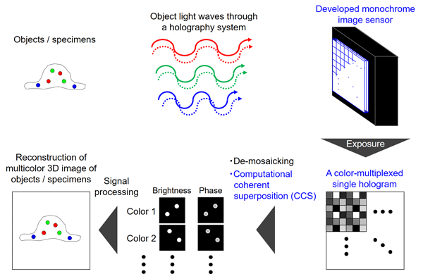 Figure 1 Figure 1