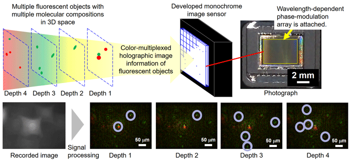 Figure 2 Figure 2