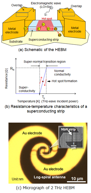 Figure 1 Figure 1