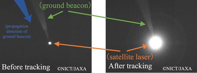 Fig 3. Fig 3.