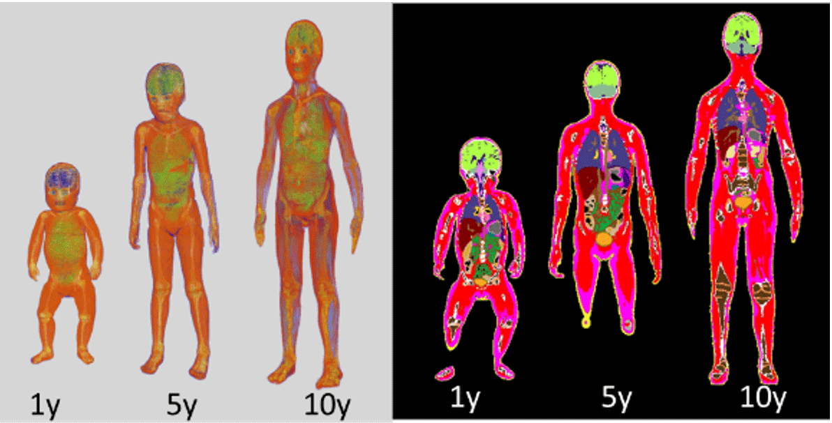 International Reference Computational Models for Children Released Free of Charge