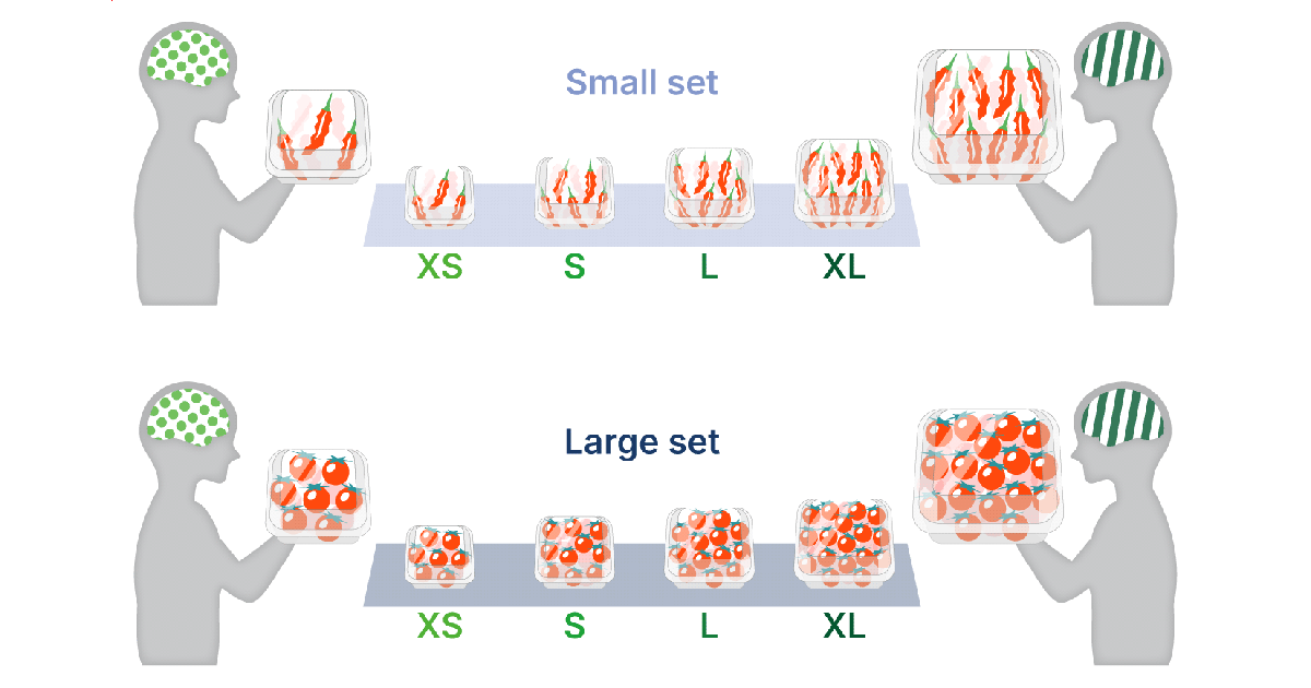 Uncovering the Brain’s Flexible Mechanisms for Representing Diverse Numbers