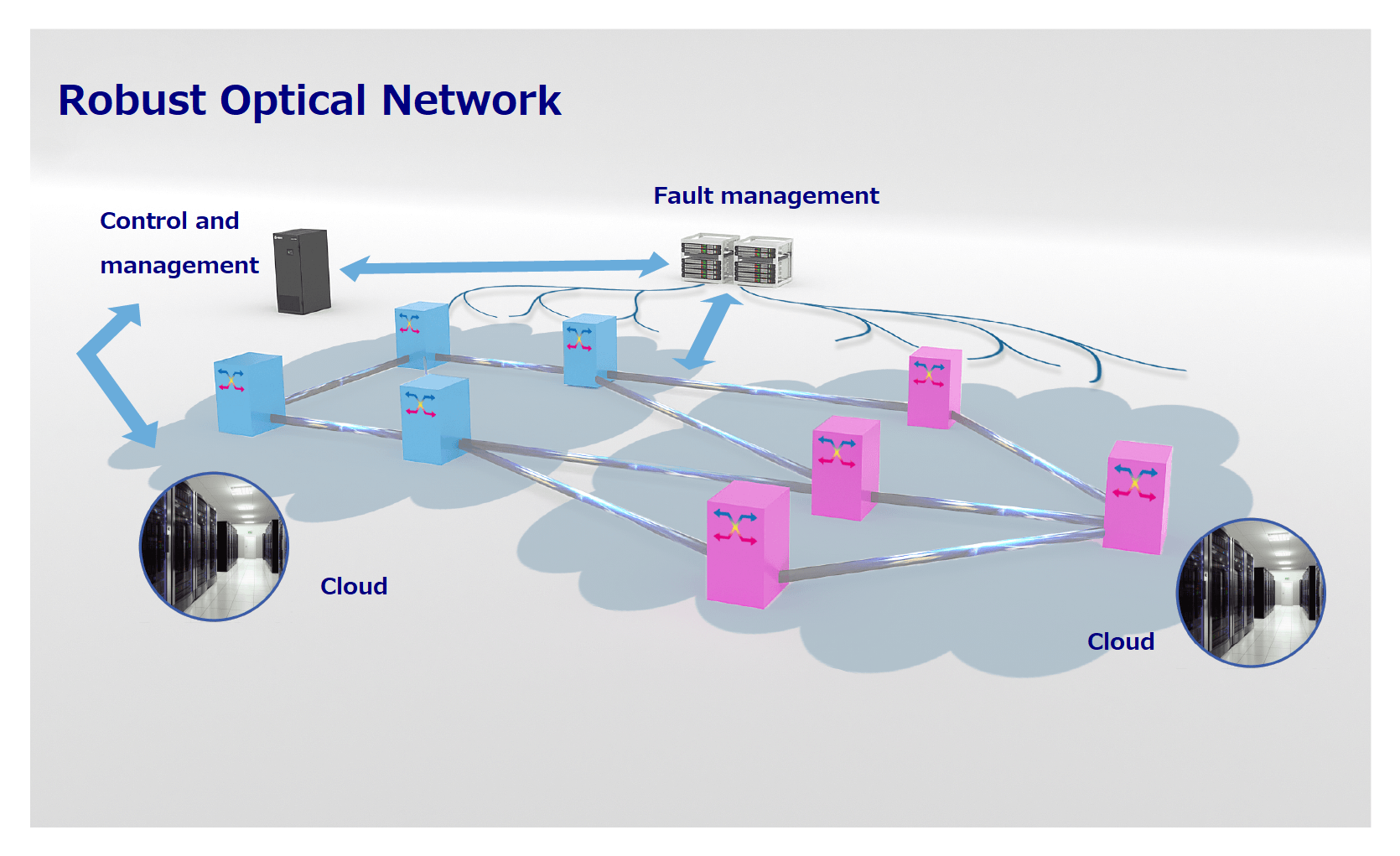 Robust Optical Network Robust Optical Network