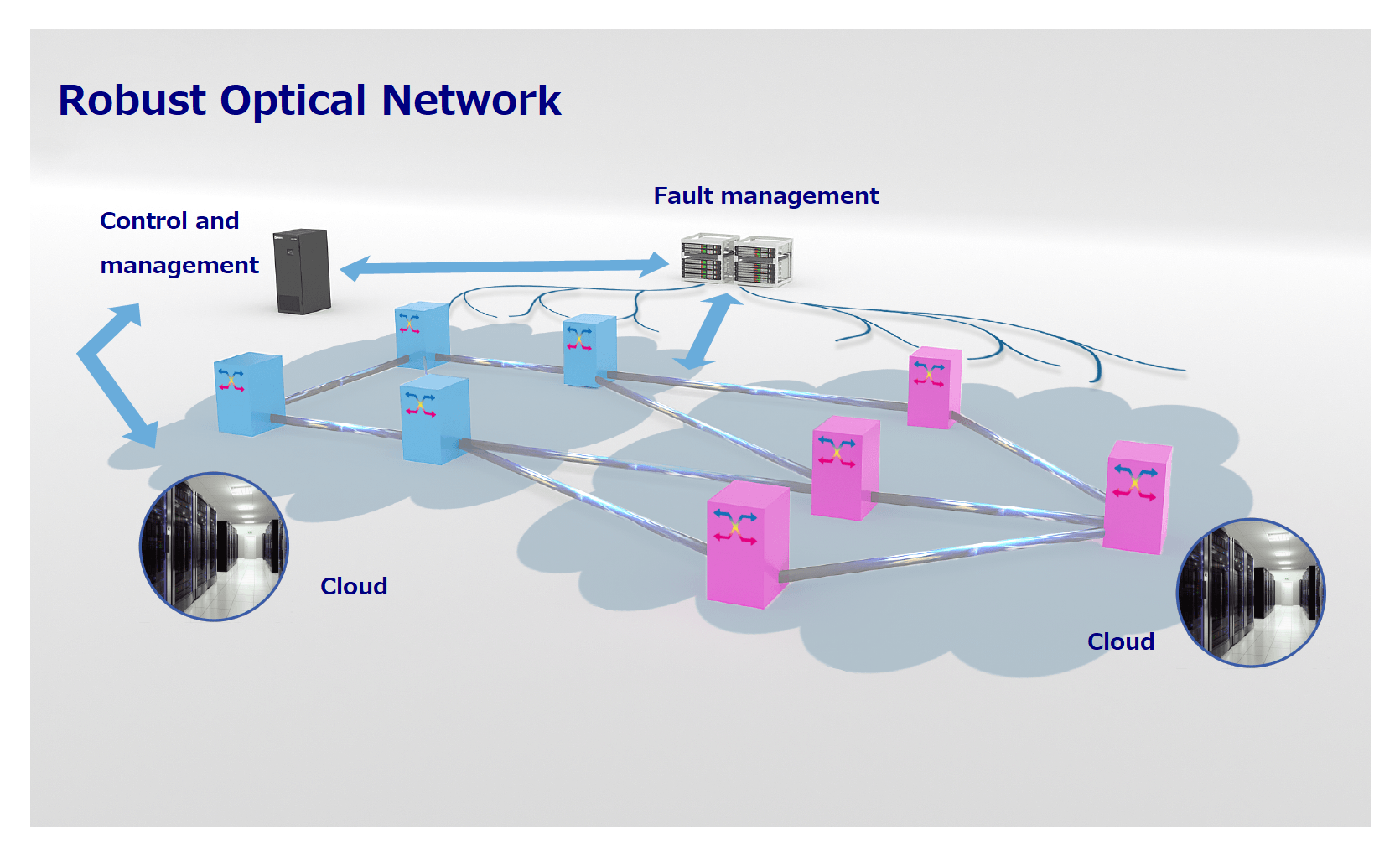 Robust Optical Network