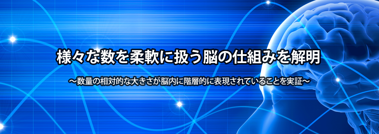 様々な数を柔軟に扱う脳の仕組みを解明