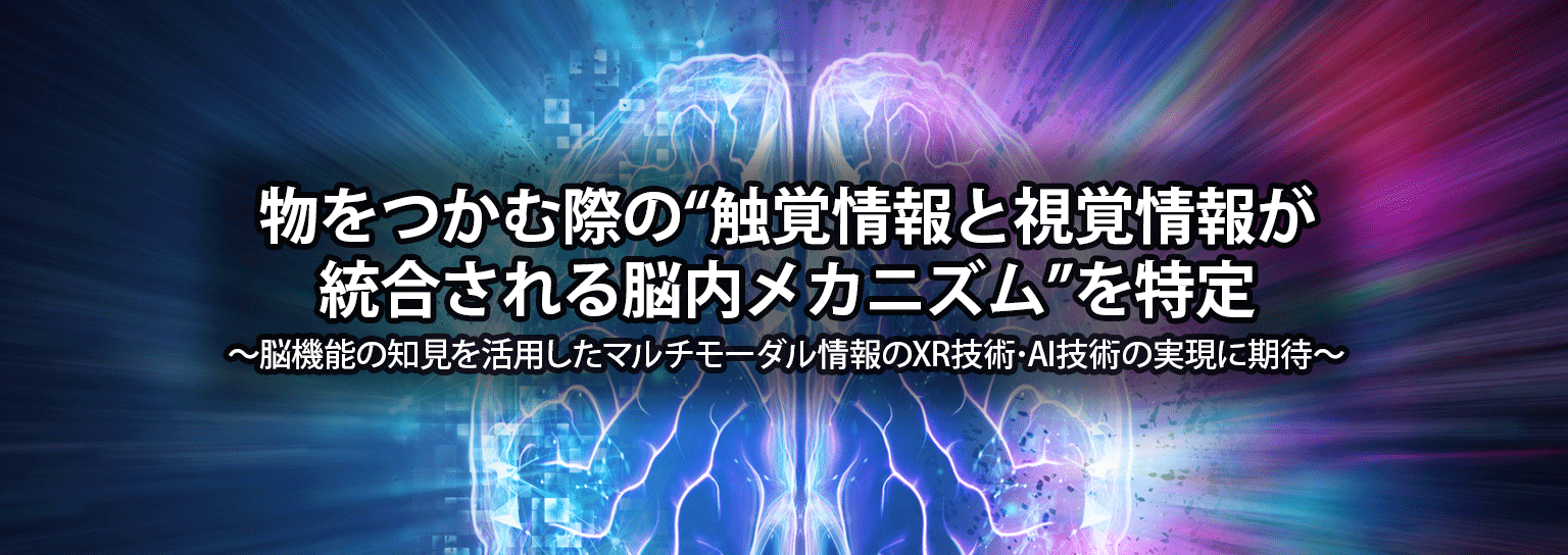 物をつかむ際の“触覚情報と視覚情報が統合される脳内メカニズム”を特定