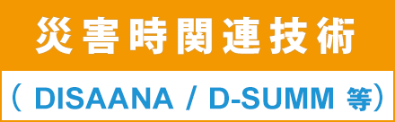 DISAANA