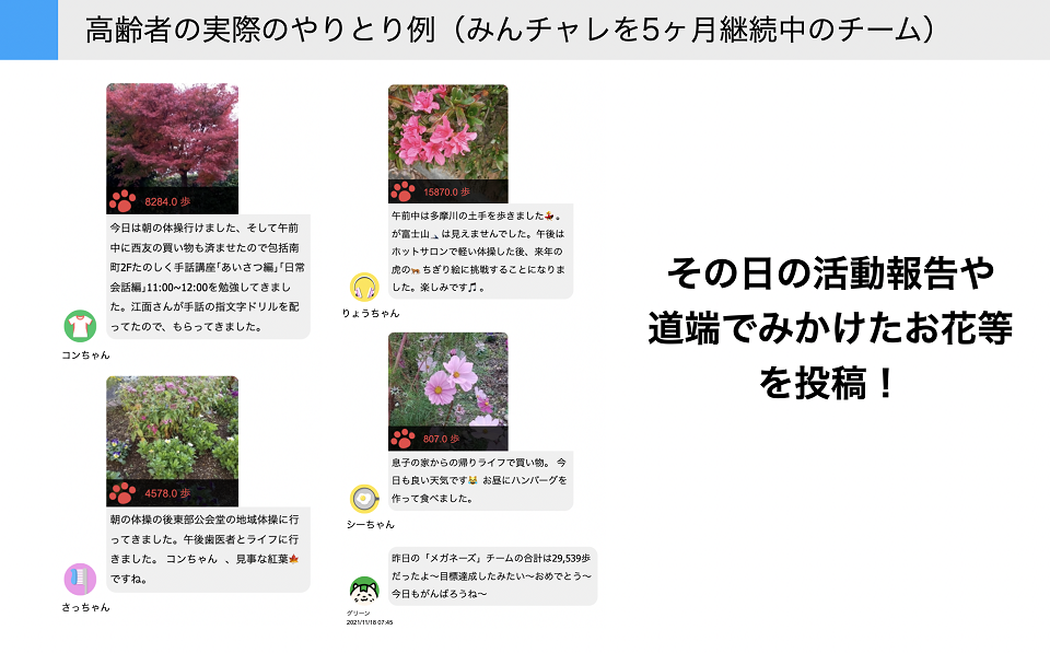 タイトル: 高齢者の実際のやりとり例(みんチャレを5ヶ月継続中のチーム) サイドテキスト: その日の活動報告や道端でみかけたお花等を投稿!