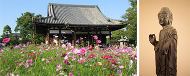 般若寺(左)、阿弥陀如来立像(秘仏)(右) 般若寺(左)、阿弥陀如来立像(秘仏)(右)