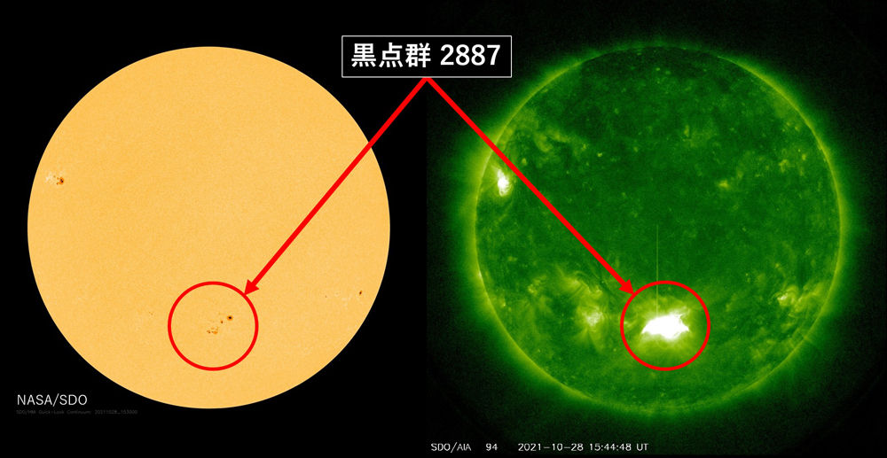 図1. 人工衛星SDOで観測された太陽画像（左: 可視光、右: 紫外線）