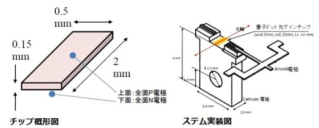 チップ概形図