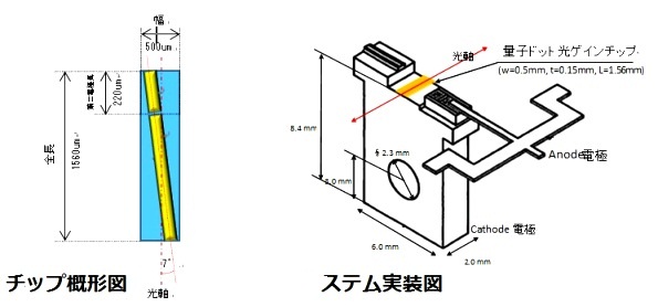 寸法図