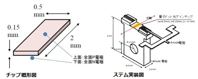 チップ概形図 チップ概形図