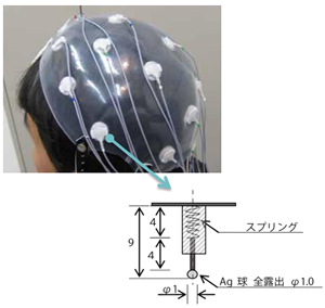 脳波計測用ドライ電極用チップ 脳波計測用ドライ電極用チップ
