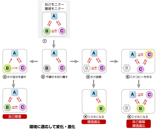 例：細胞システムの性質を持った情報通信ネットワークイメージ