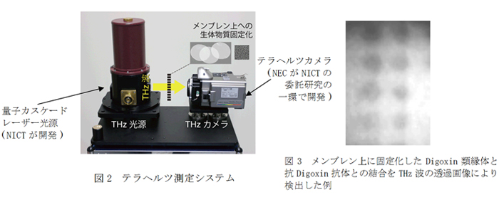 図2　テラヘルツ測定システム  図3　メンブレン上に固定化したDigoxin類縁体と抗Digoxin抗体との結合をTHz波の透過画像により検出した例