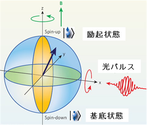 図1(b)：光パルスは入射（x）軸に100テスラ以上の大きな有効磁場を誘起し、2ピコ秒という短時間で電子スピンを回転させる。