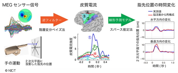 【図１】手先の運動を脳活動から再構成する手法の概要