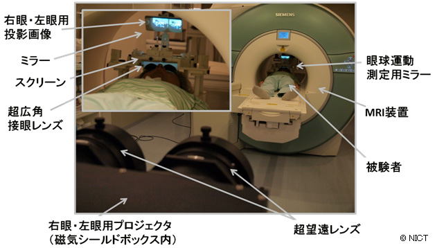 図1： 脳活動に基づく広視野3D映像評価装置（左上：頭部周辺の拡大図）