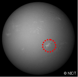 図1：太陽フレア現象後の黒点群の状況